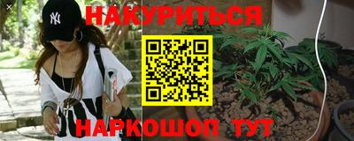 a pvp Будённовск
