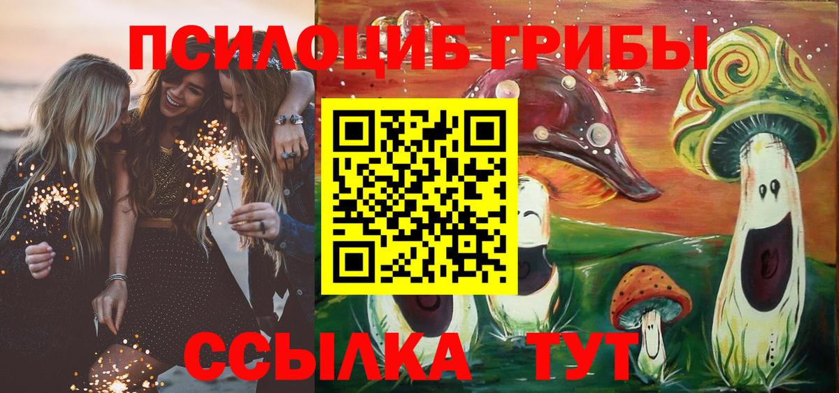 Псилоцибиновые грибы мицелий  Псилоцибиновые грибы прущие грибы  закладка  Ухта  Вход с VPN 