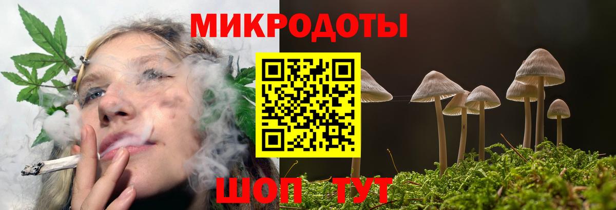 Псилоцибиновые грибы Psilocybine cubensis Ухта